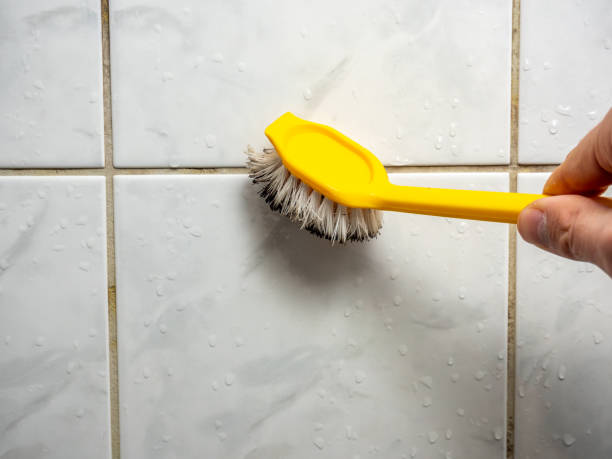 Best Health and Safety Mold Remediation in St Clair Shores, MI
