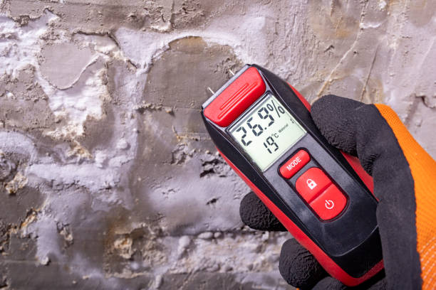 Best Industrial Mold Remediation in St Clair Shores, MI