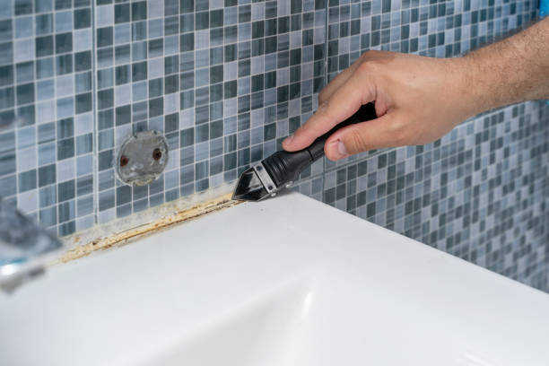 Best Bathroom Mold Remediation in St Clair Shores, MI